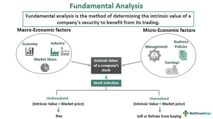 fund-analysis