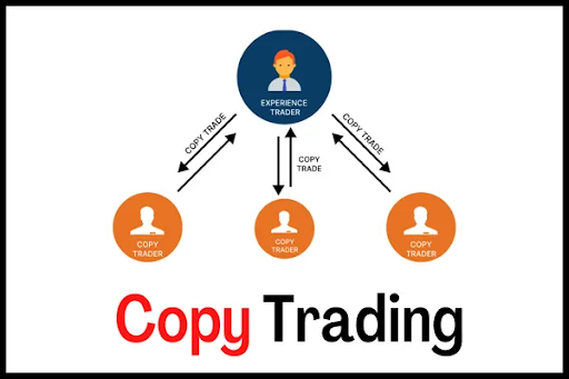 copy trade